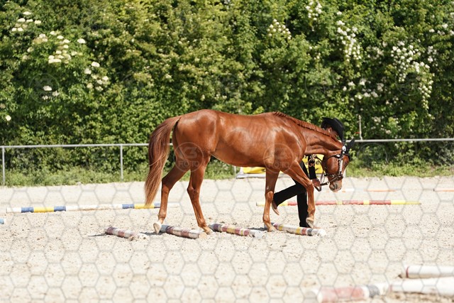 sA9K07886.JPG